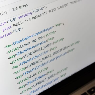 Tally-Woo XML Plugin